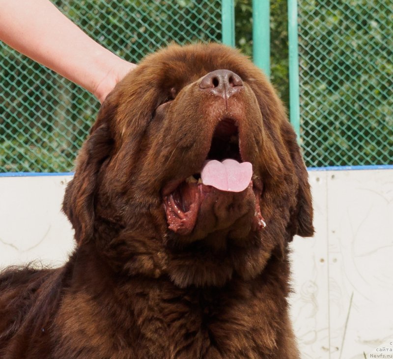 Фотография № 209771