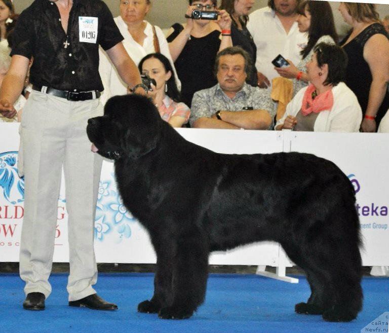 Фотография № 209778