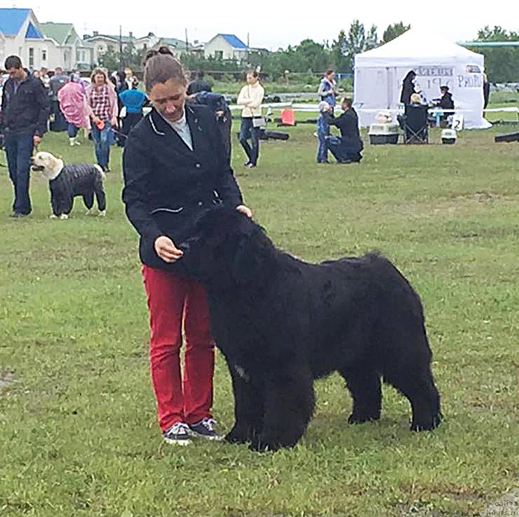 Фотография № 209792