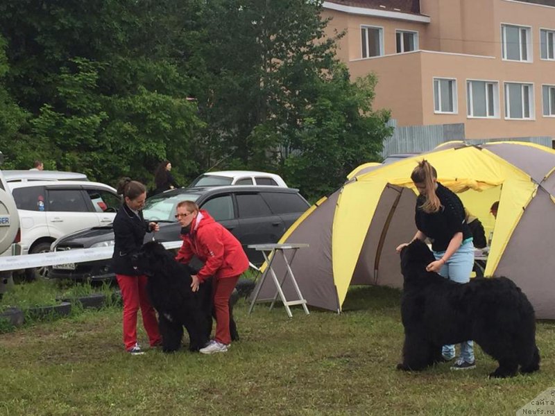 Фотография № 209793