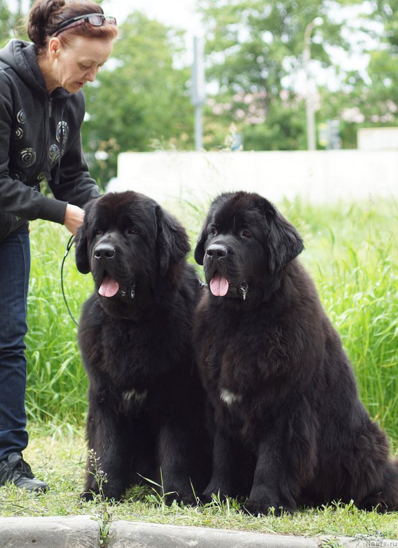 Фотография № 209802