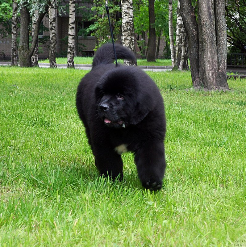 Фотография № 209810