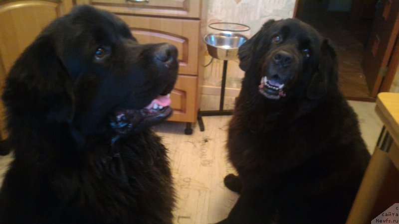 Фото: YEleonora Veselova (Элеонора Веселова)