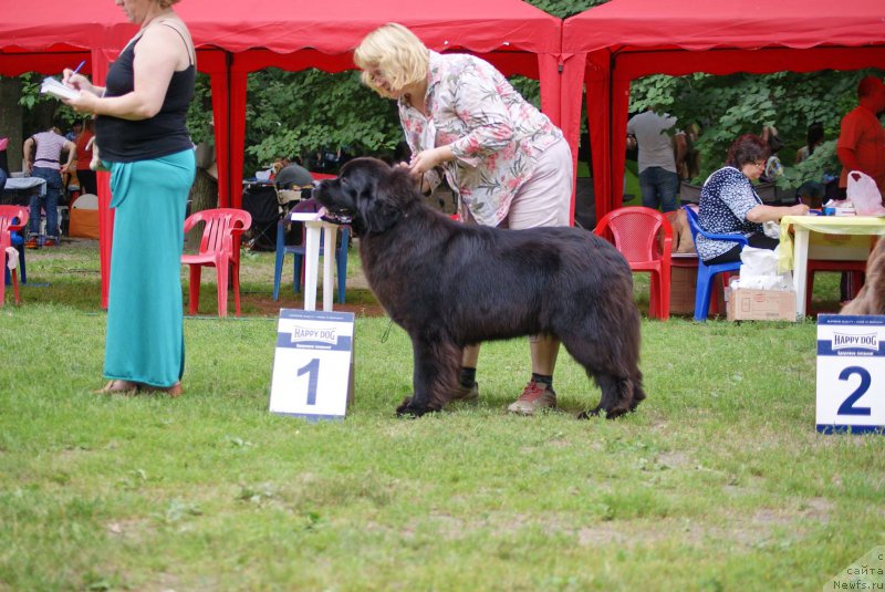 Фотография № 209825