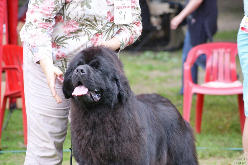 Фотография № 209826