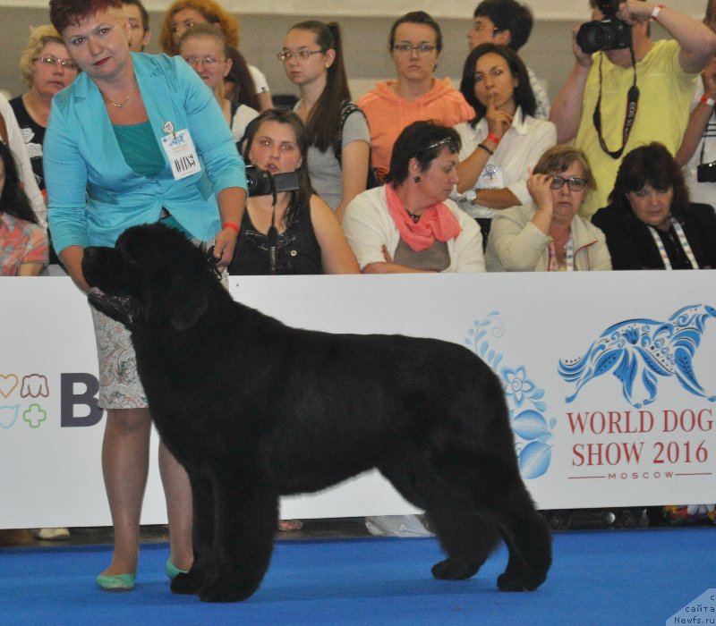 Фотография № 209828