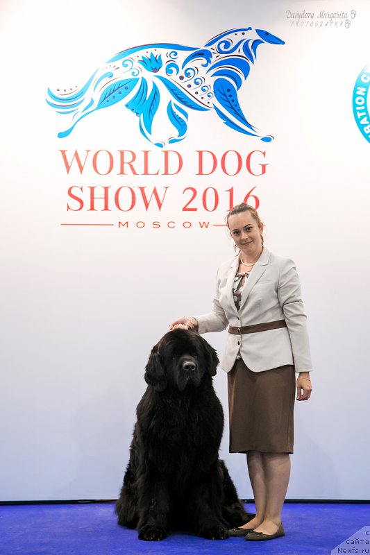 Фотография № 209842