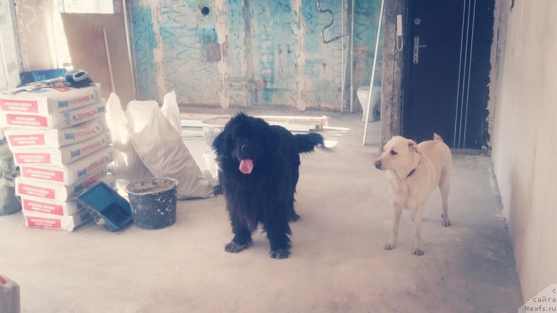 Фотография № 209852