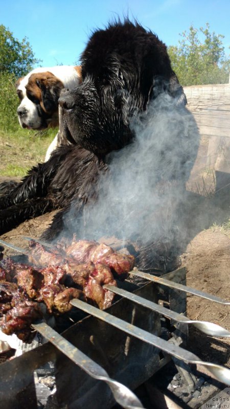 Фотография № 209853