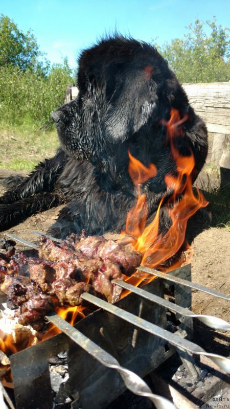 Фотография № 209854