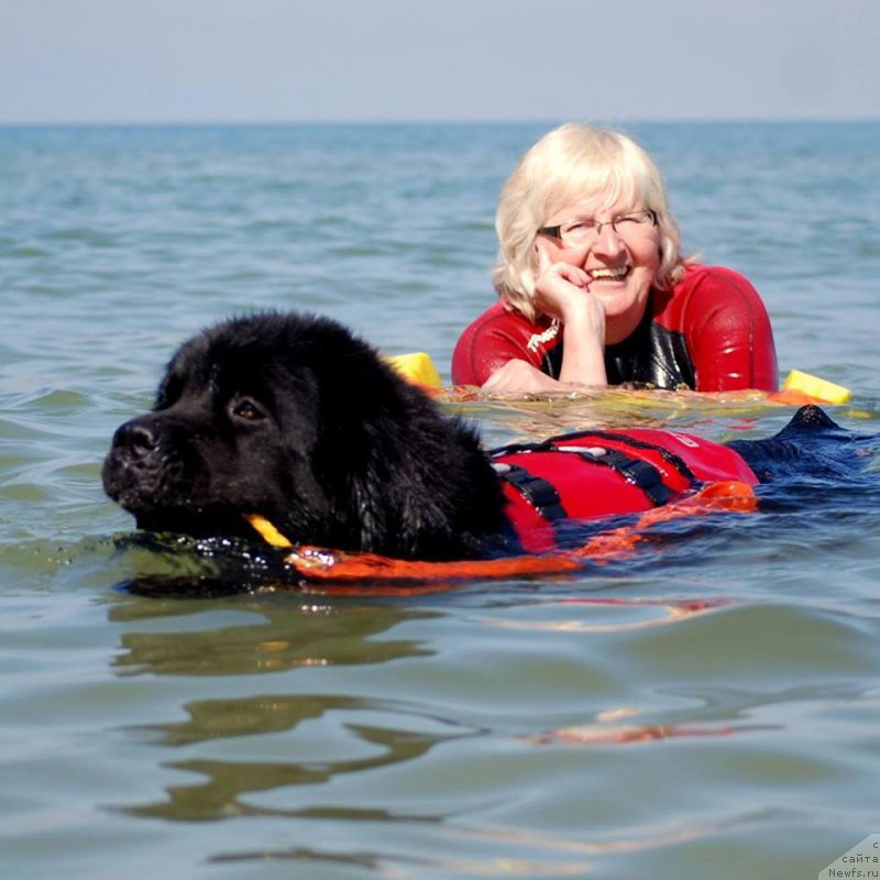 Фотография № 209856