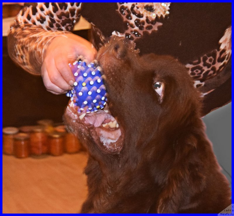 Фотография № 209937