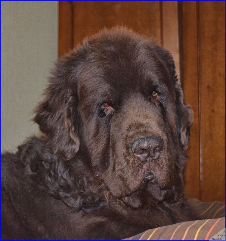 Фотография № 209951