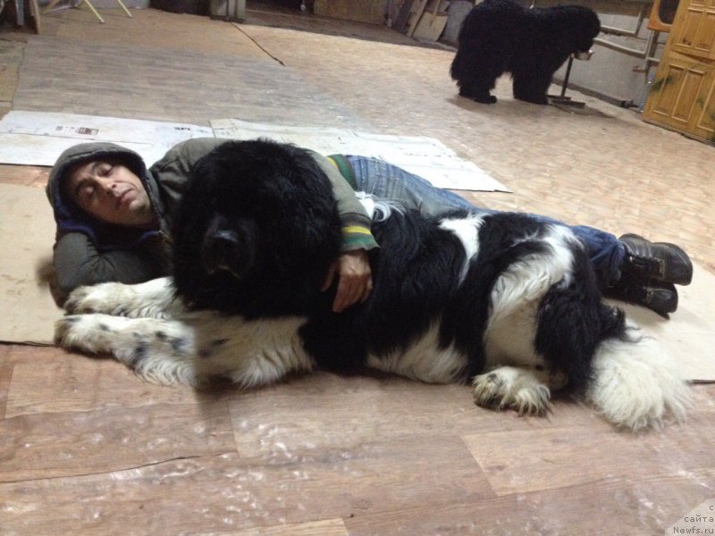 Фотография № 209957