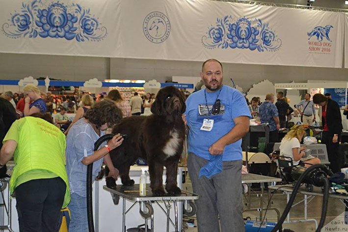 Фото: ньюфаундленд Gospozha Udacha s Berega Dona (Госпожа Удача с Берега Дона), Natal'ya Tatarinova (Наталья Татаринова), Kiril Ermakov (Кирил Ермаков)
