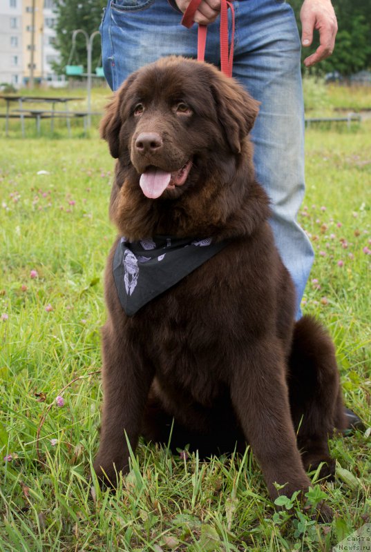 Фотография № 210041