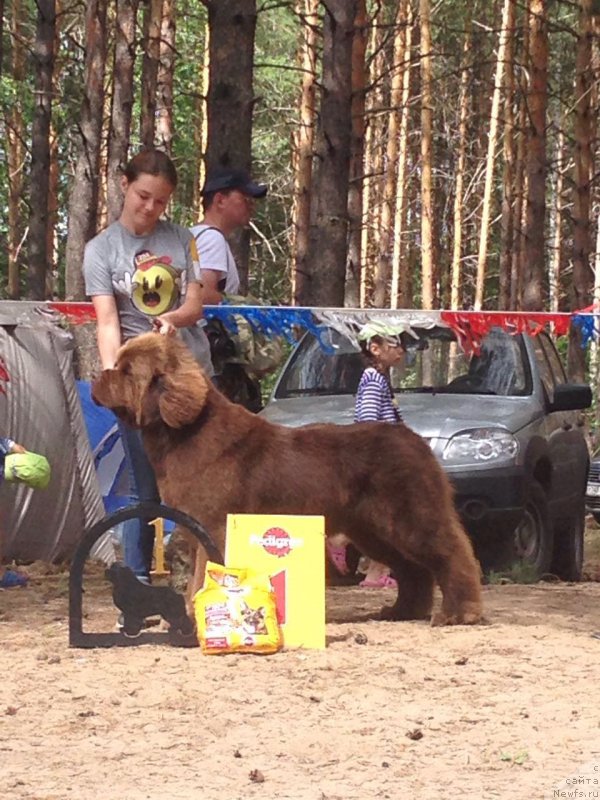 Фотография № 210042