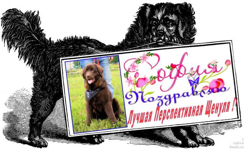 Фотография № 210044