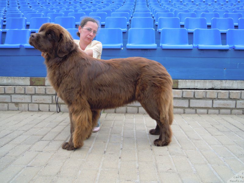 Фотография № 210056