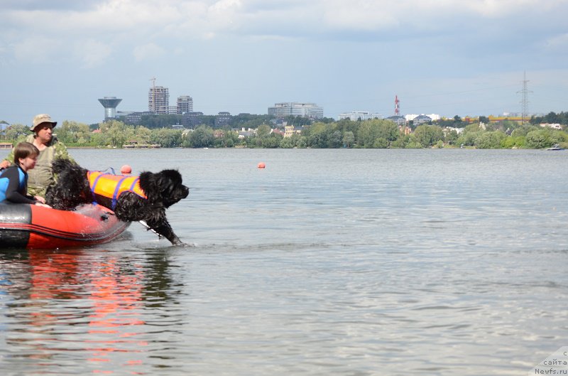 Фотография № 210070