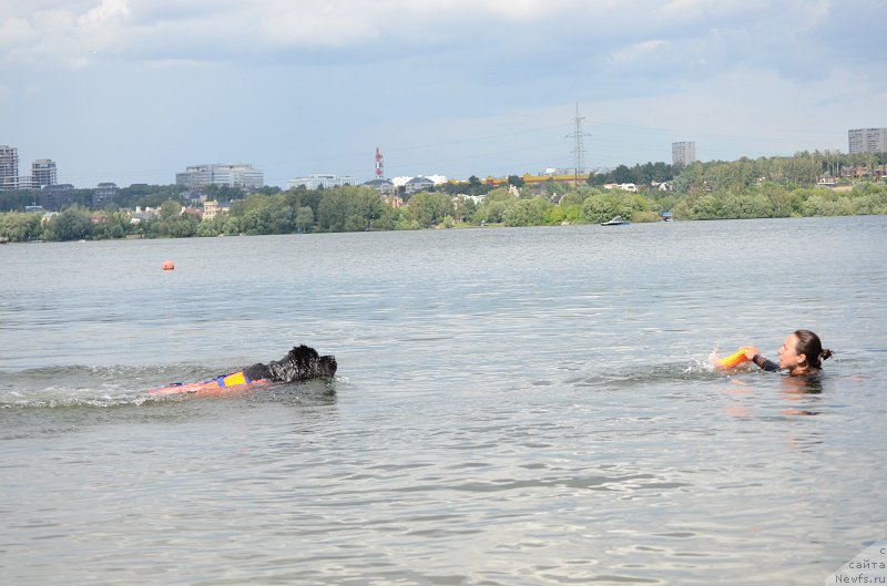 Фотография № 210071