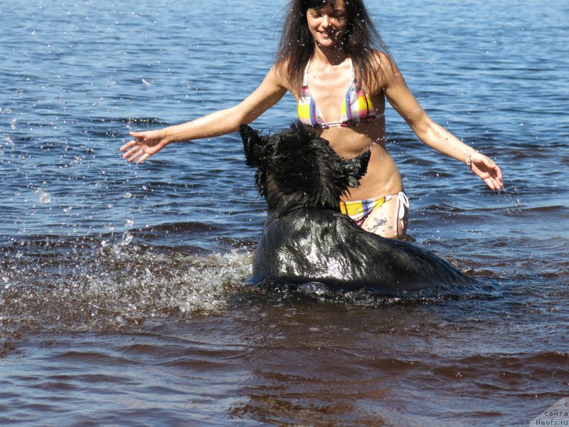 Фотография № 210117