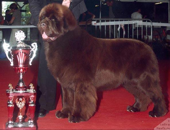 Фотография № 21014