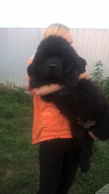 Фотография № 210171