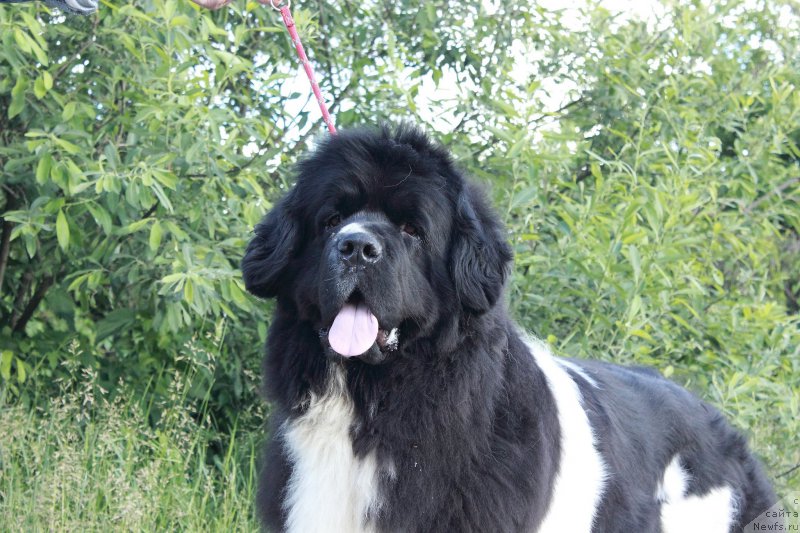 Фотография № 210174