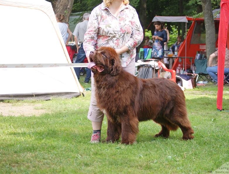 Фотография № 210180