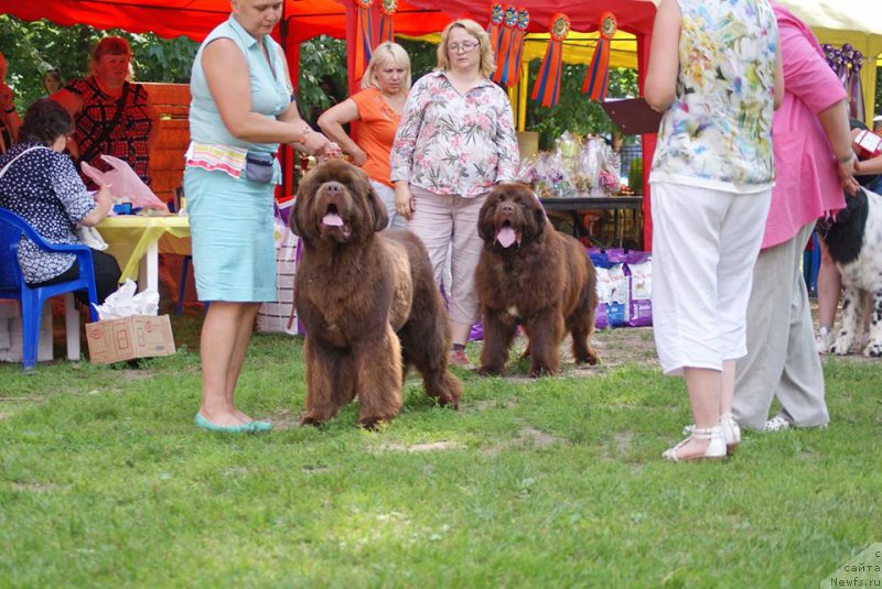 Фотография № 210181