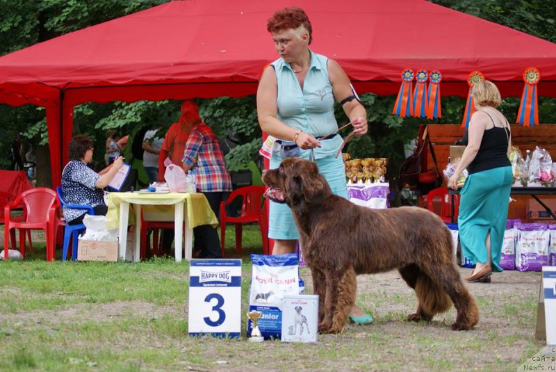 Фотография № 210185