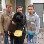 Фото: ньюфаундленд Sirius Bol'shoy Pes (Сириус Большой Пес)