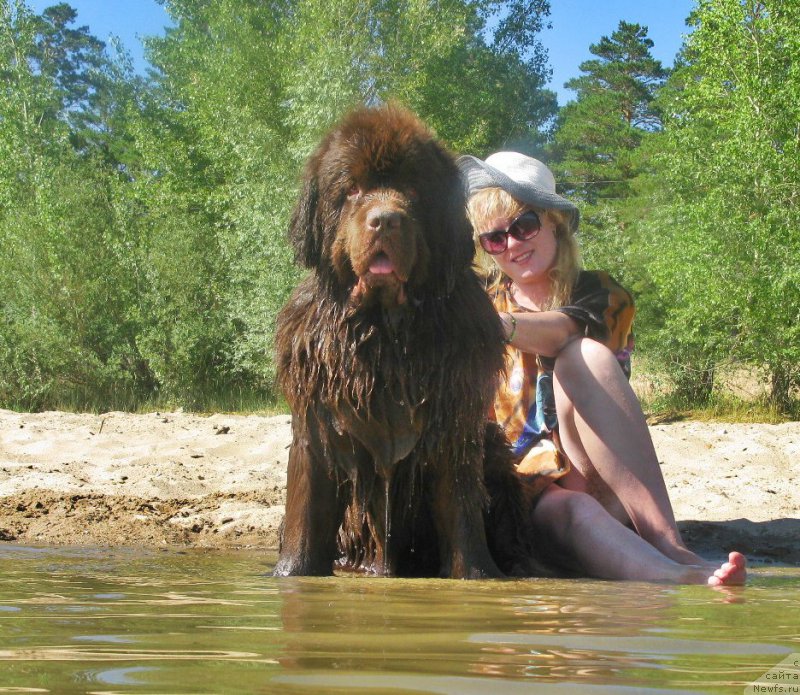 Фотография № 210231