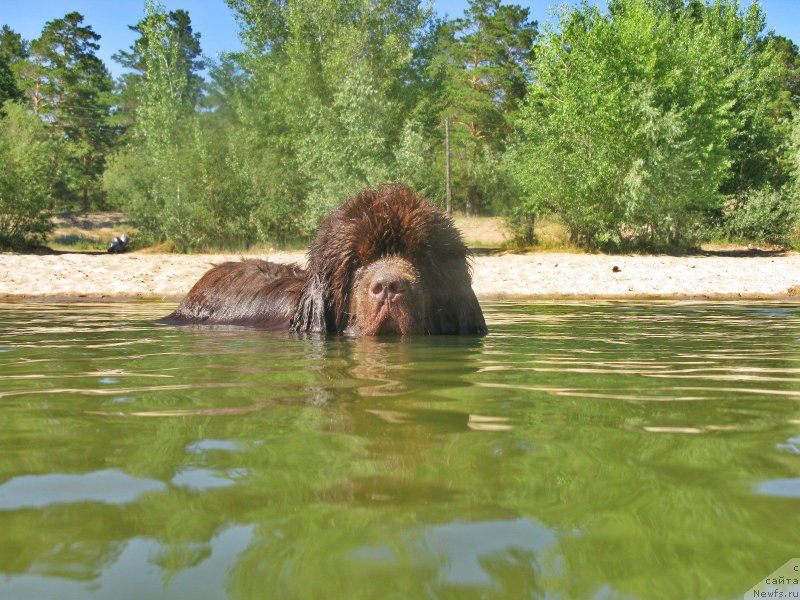 Фотография № 210232