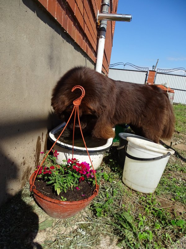 Фотография № 210237