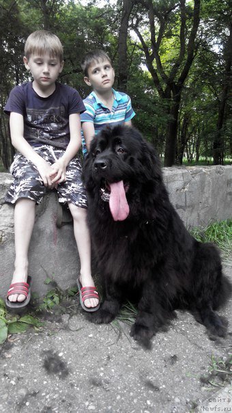 Фотография № 210246