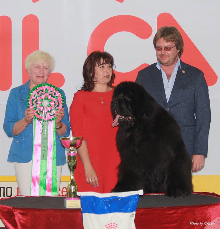 Фотография № 210269