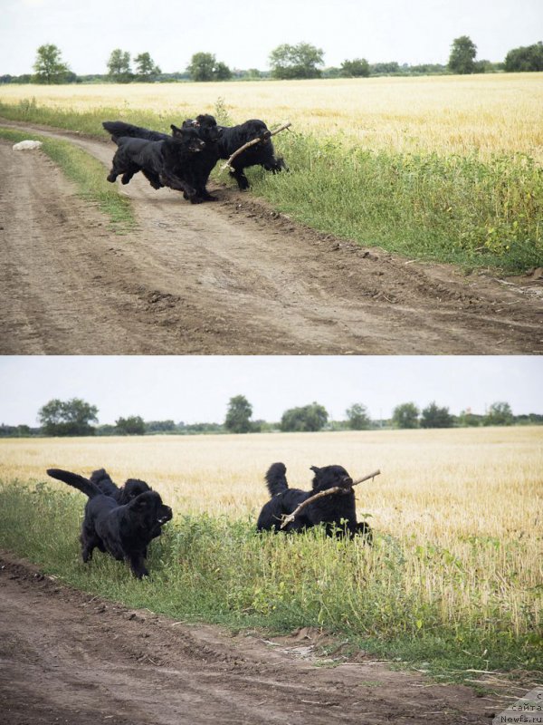 Фотография № 210275