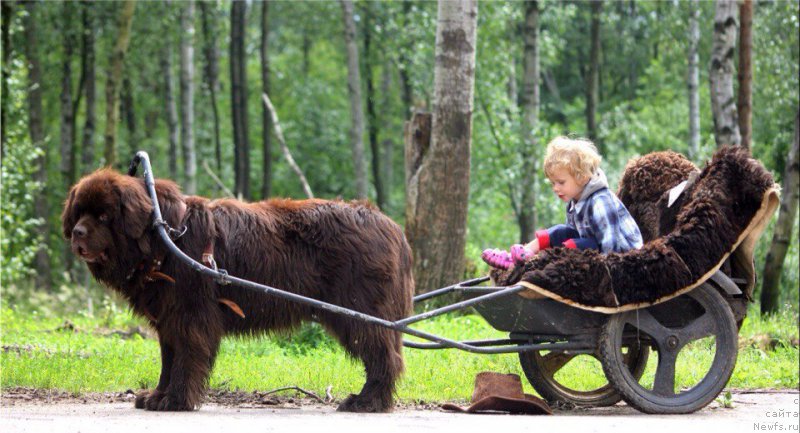 Фотография № 210277