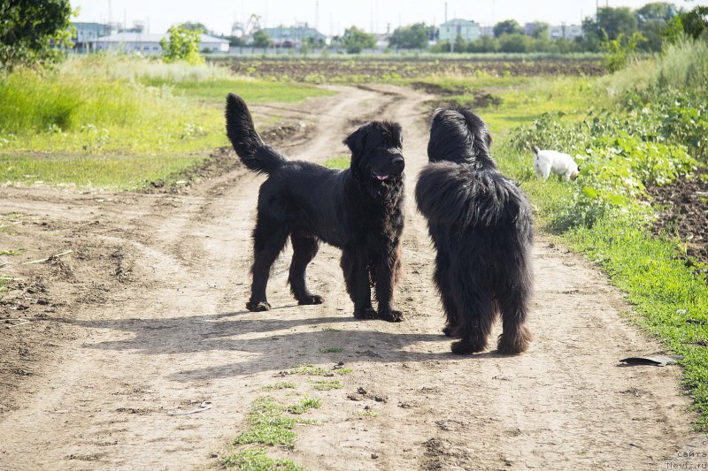 Фотография № 210280