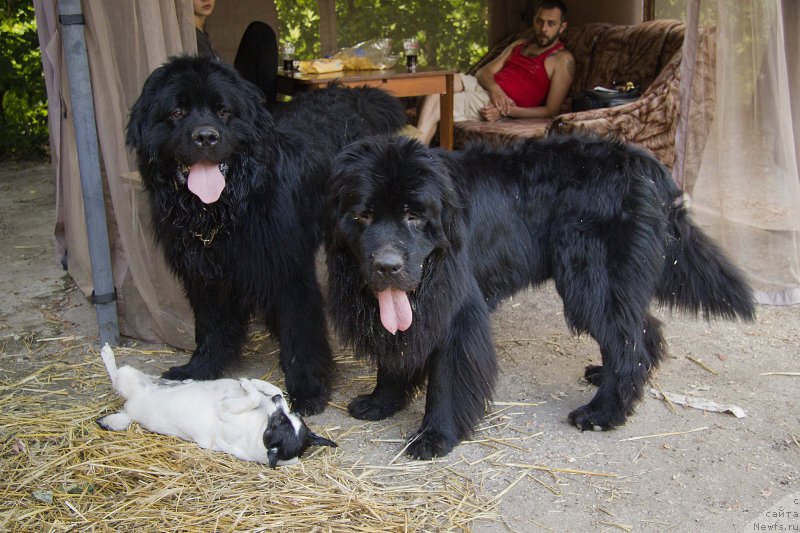 Фотография № 210286