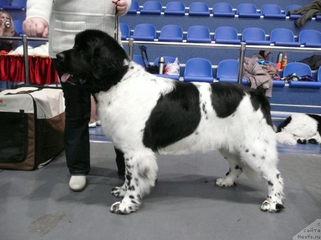 Фотография № 21029