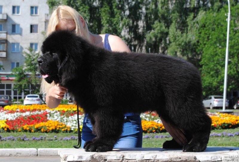 Фотография № 210291