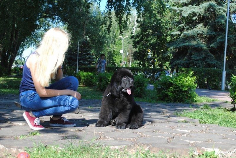 Фотография № 210299