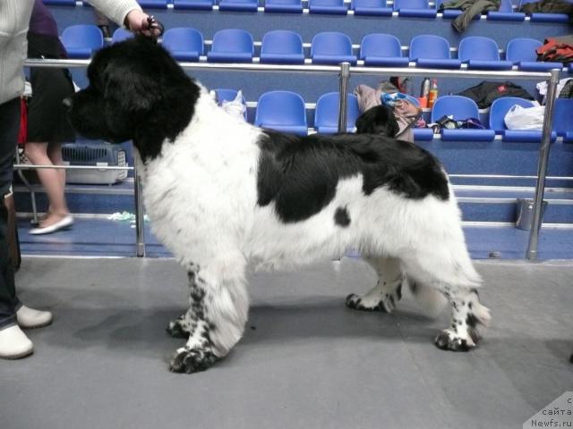 Фотография № 21030