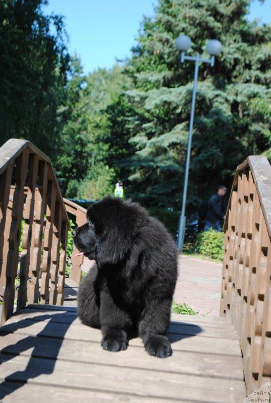 Фотография № 210304