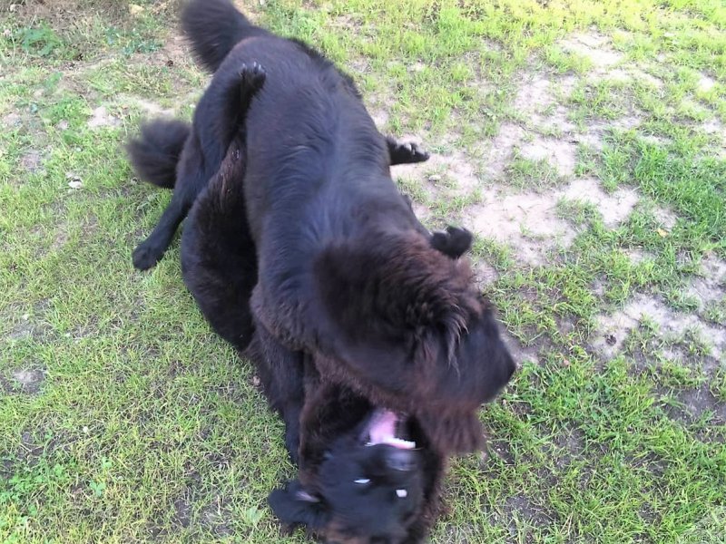 Фотография № 210336