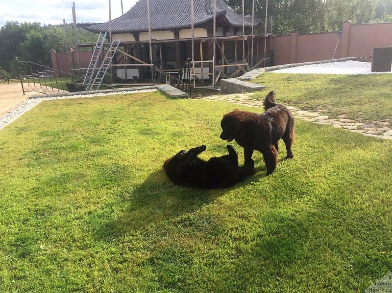 Фотография № 210337