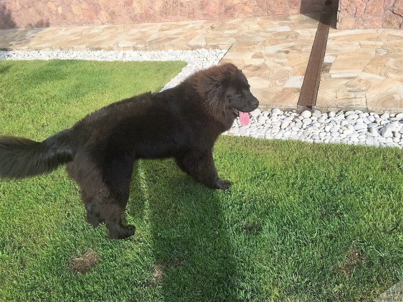 Фотография № 210339